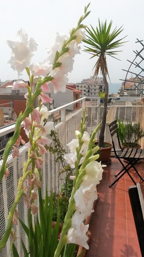 Apartamento Mediterraneo Pineda de Mar Extérieur photo