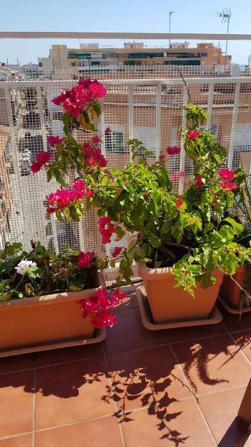 Apartamento Mediterraneo Pineda de Mar Extérieur photo
